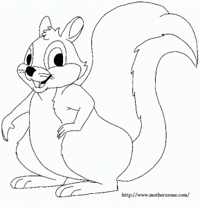 cute-squirrel-coloring-pages