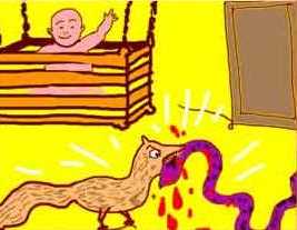 the brahmani and the mongoose2