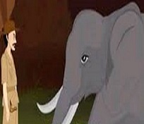 The Elephant & The Forester